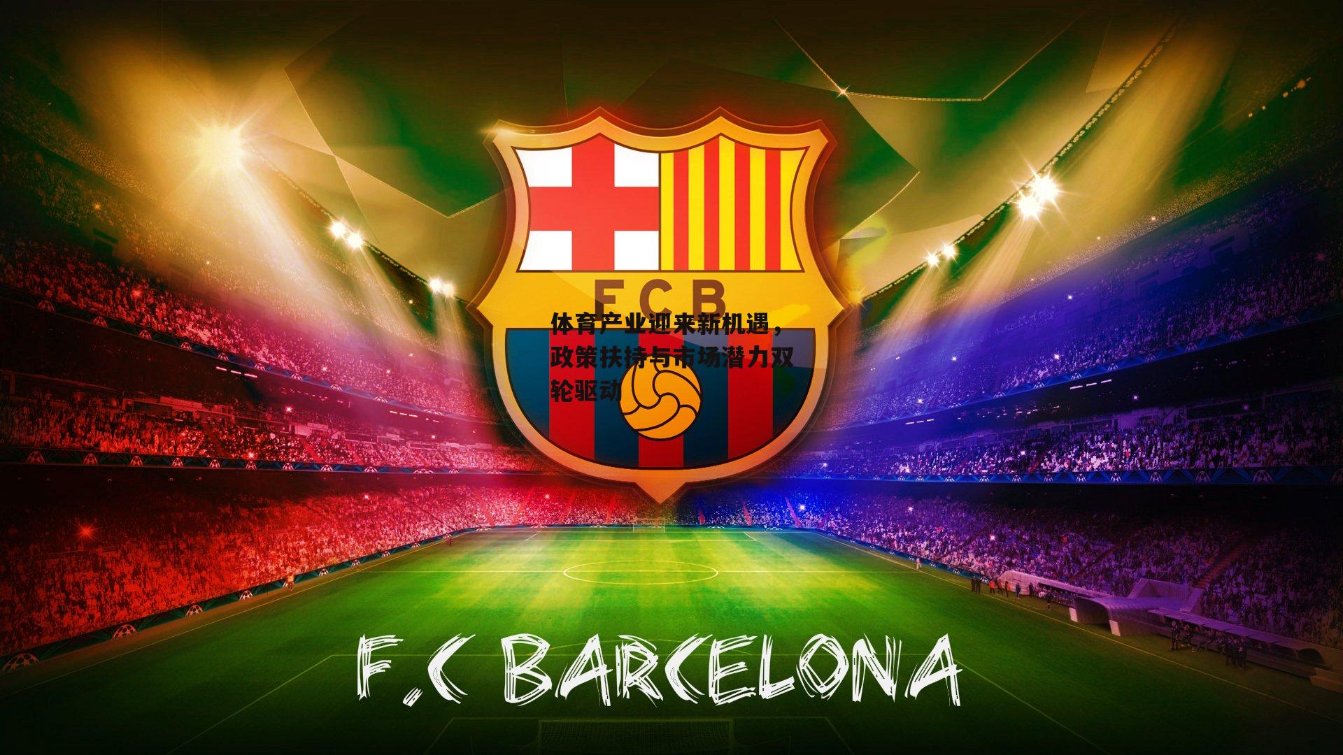 体育产业迎来新机遇，政策扶持与市场潜力双轮驱动_爱游戏娱乐